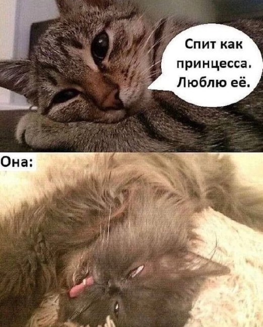 картинка 5e312144e2 21122268