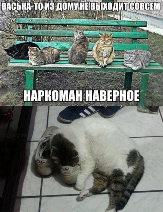 Понедельник — день тяжелый? Только не у нас! ☕️ Признавайтесь, тяжелый», новую, врываемся, позитивом, Заряжаемся, дыхании, одном, пройдет, понедельник, незаметно, пролетит, время, подборкой, нашей, «день, прошло, волнуЗабудьте, рабочую, настроиться