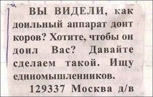 картинка 6493bde8b9 21153418