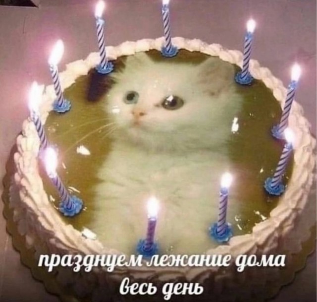 картинка 657d06cd56 21182709