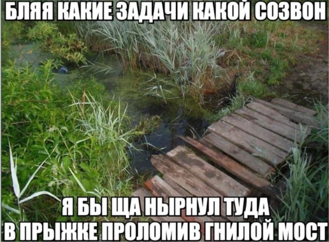 картинка 69542629d2 21182708