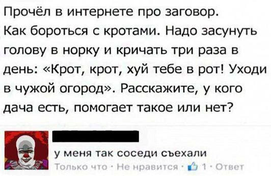 картинка 6a5ce1dc8f vremja vkljuchat ulybku na maksimum 9