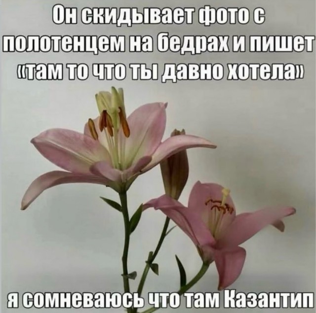 картинка 6c1986c35c 21182722