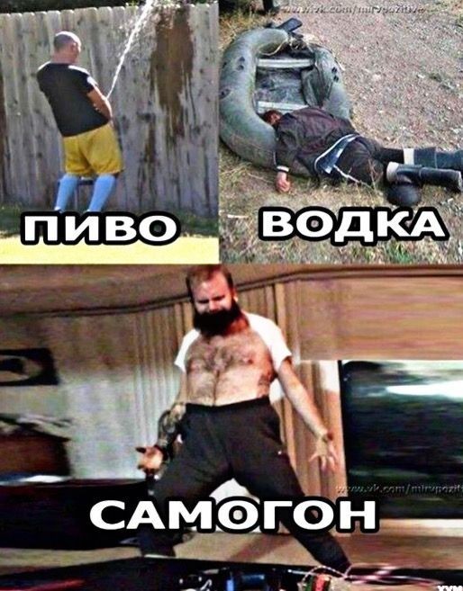 картинка 6dcfa8f601 zarjad bodrosti porcija memov chtoby den stal jarche 5