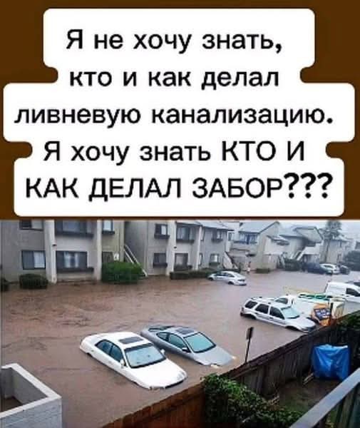 картинка 6f721b6547 21183685
