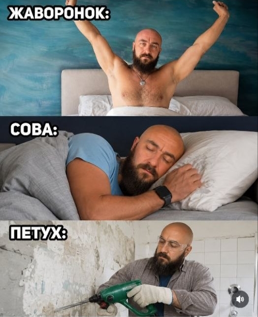 картинка 6ff026c46c 00000000000
