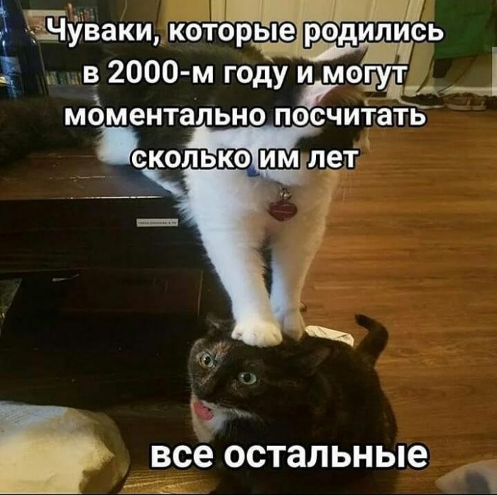 картинка 70a069a571 vash antidepressant na segodnja porcija memov 4