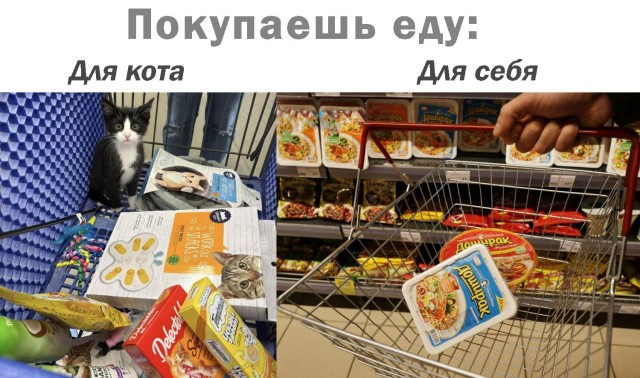 картинка 729c722e59 21169411