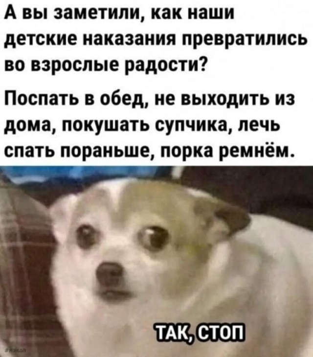 картинка 73e1d522cf 21170145