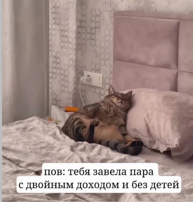 картинка 77955266cb 21182712