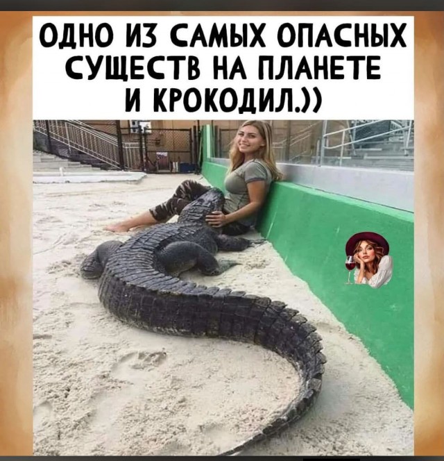 картинка 78a0d92487 21183633