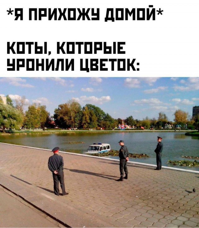 картинка 78ce1bff7d 21151295