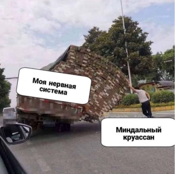 картинка 79aa191231 21150165