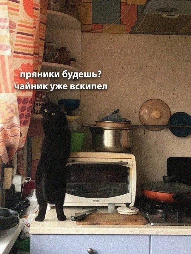 картинка 7b8c2cdeff 21170128