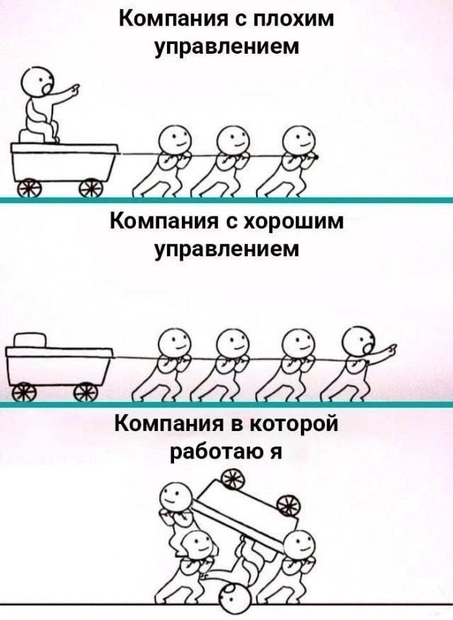 картинка 7c7fe438b1 ostorozhno uroven cinizma zashkalivaet 5