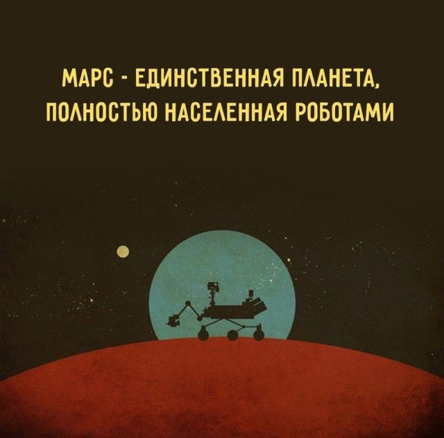 картинка 7d479fb144 21203945