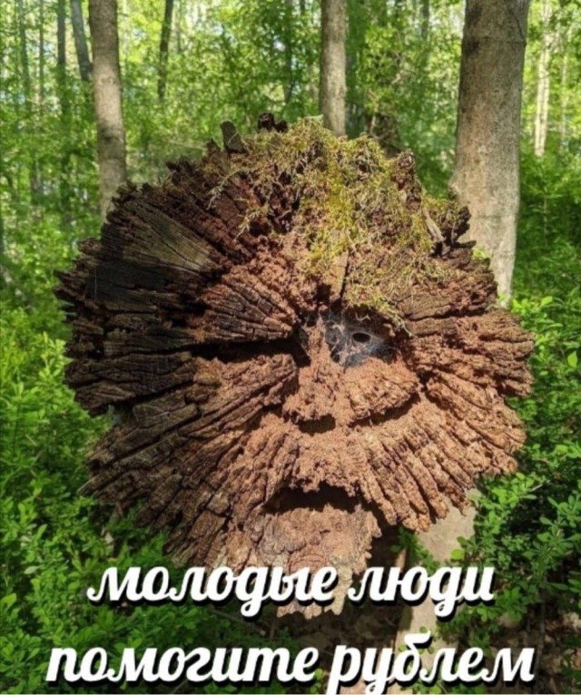 картинка 7e4da8d892 21151304