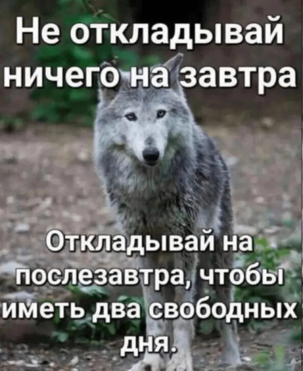 картинка 7fce968d06 000
