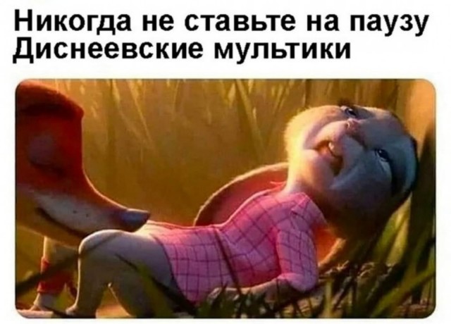 картинка 7fd303422e 21181964