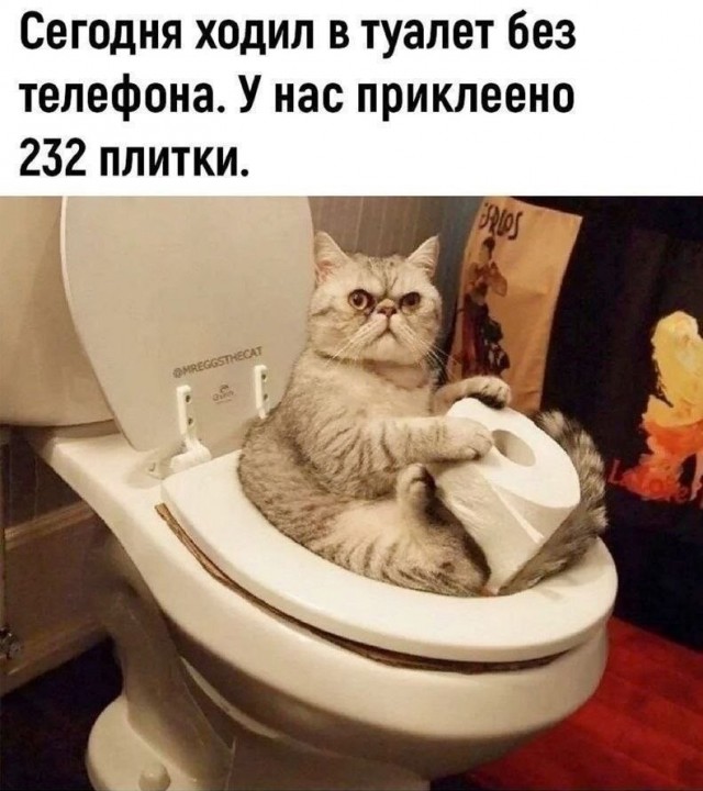 картинка 8107e895a2 21138048