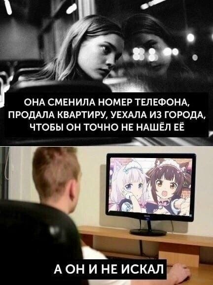 картинка 81c945aeee 00