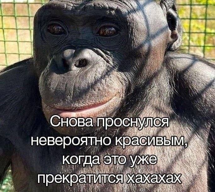 Пятница — маленькая жизнь! 🚀 дождались, последние, которые, поймет, каждый, сегодня, трудом, досиживает, офисе, коллекцию, Листайте, смейтесь, пусть, пролетит, незаметно👇, Заряжаемся, отличные, мемов, юмораСобрали, официально