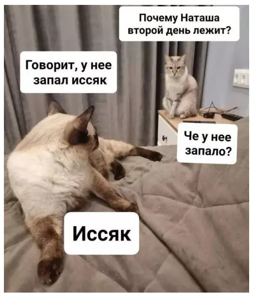 картинка 82e4dfb9f4 21122277