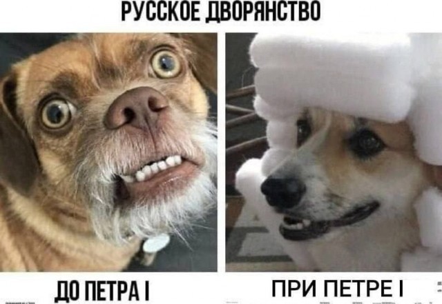 картинка 8369b00d89 21153645