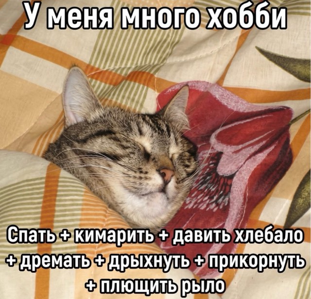 картинка 847f7a4ba7 21195806