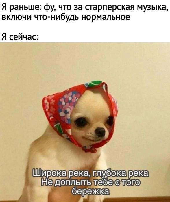 картинка 854a9fcacb 21116583