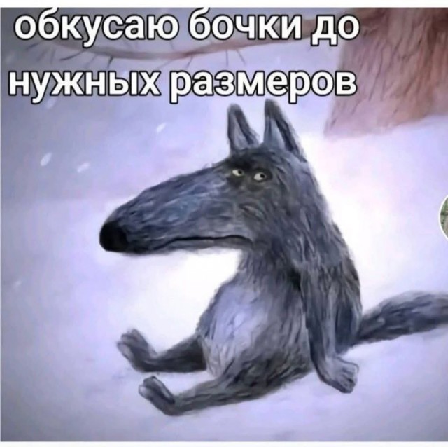 картинка 868e5718bc 21149646