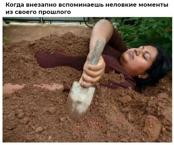 картинка 87771de385 21153642