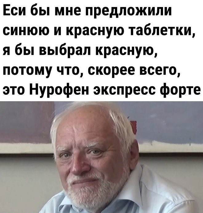 картинка 878642705e sbornik memov porcija pozitiva chtoby raskrasit den 8