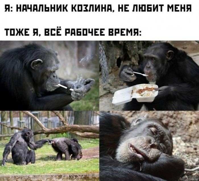 картинка 87cf5cf241 sbornik dlja teh u kogo net tormozov 8