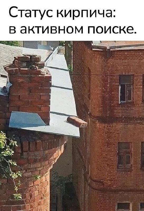 картинка 88a15736d1 21221297