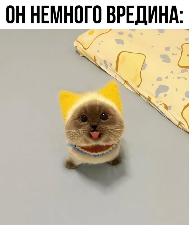 картинка 89bff389b7 21164472