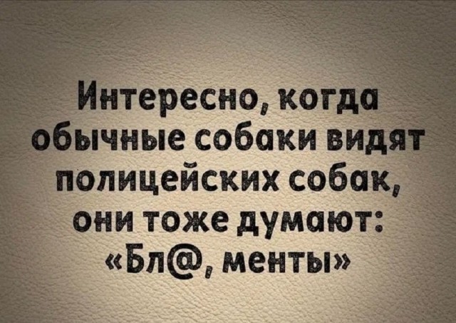 картинка 89e0e79c70 21134301