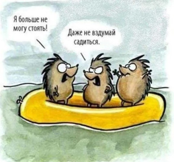картинка 8bbf18931d 21134553