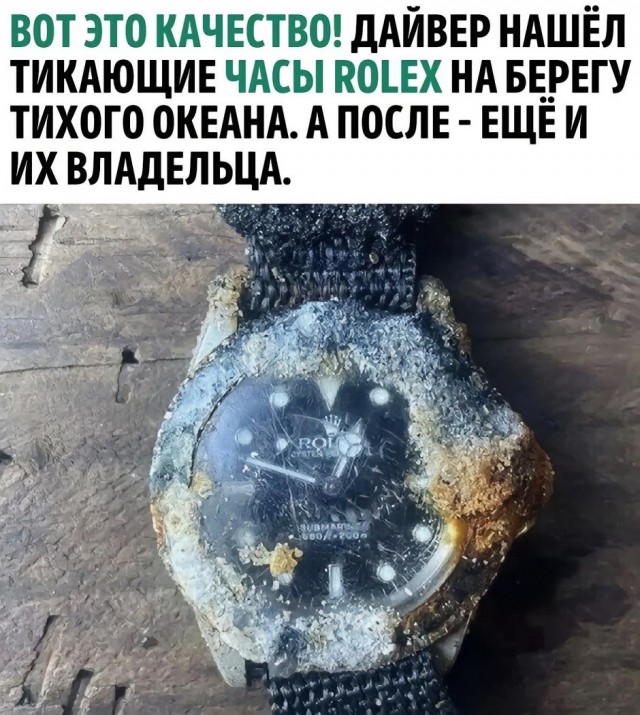 картинка 8dd3889383 21134269