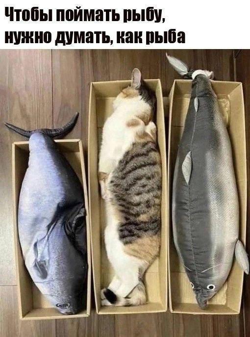 картинка 8edbbbb5ff 000