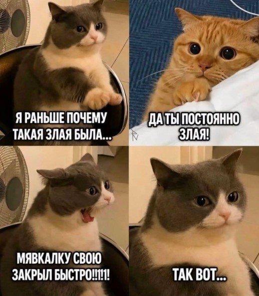 картинка 8fdcbd6df1 21122267