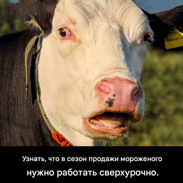 картинка 900a896e8e 21169372