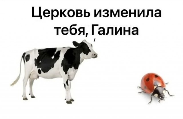 картинка 90ec33494a 21149633