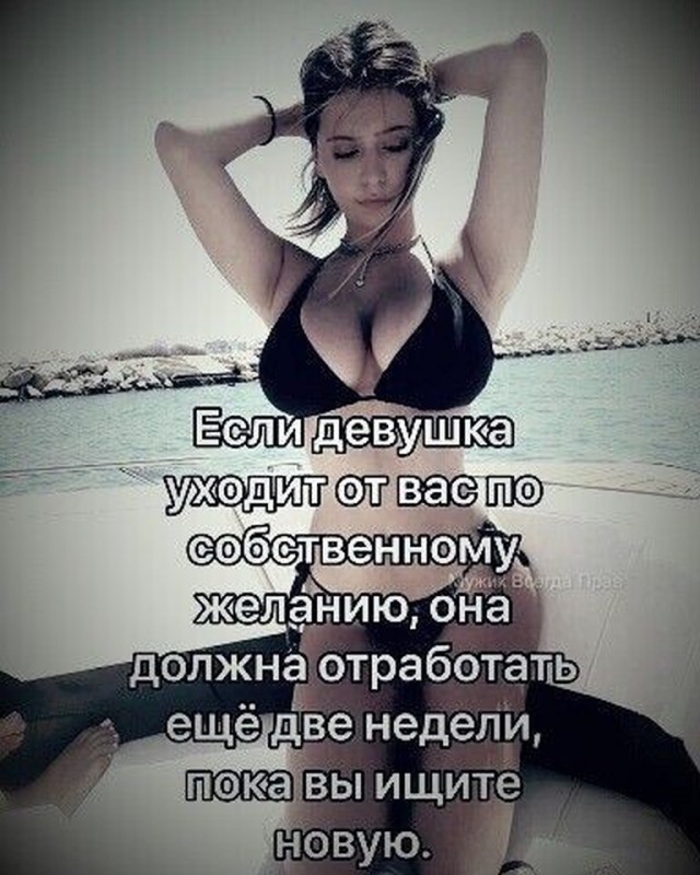 картинка 9361bec1f5 21169645