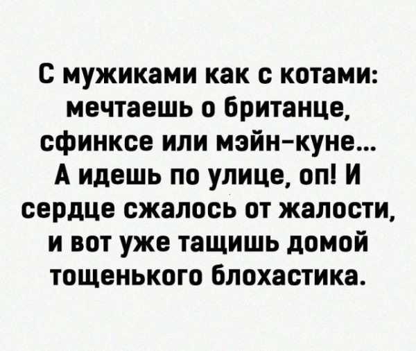 картинка 938520151f 21164749