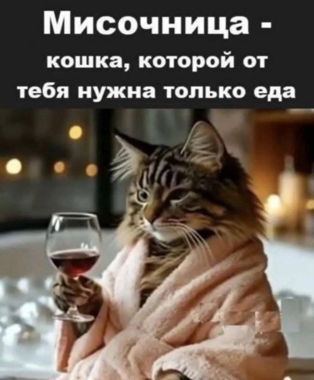 картинка 96deda5c3f svezhaja podborka memov i kartinok kotorye realno podnimajut nastroenie 4