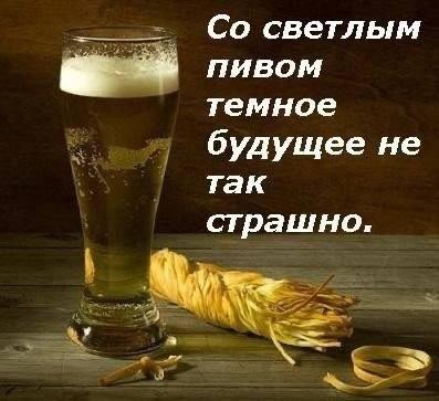 картинка 97b1115ffa 21135777
