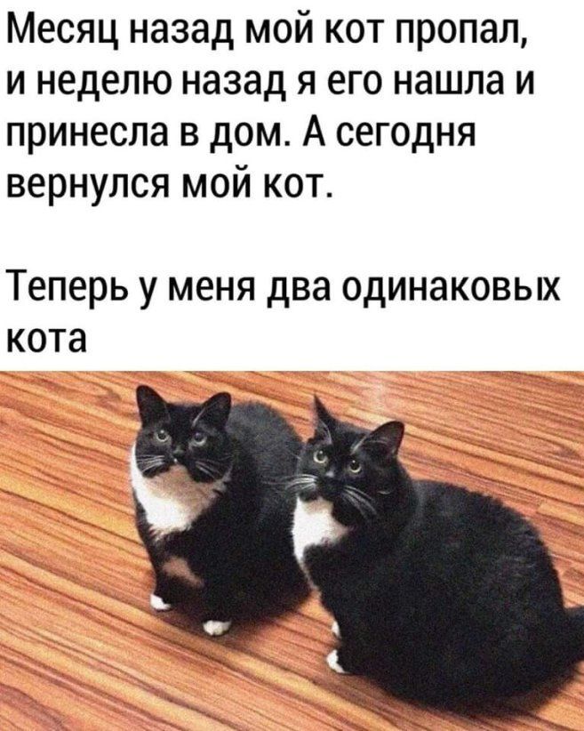 картинка 9873dcd1dd 00