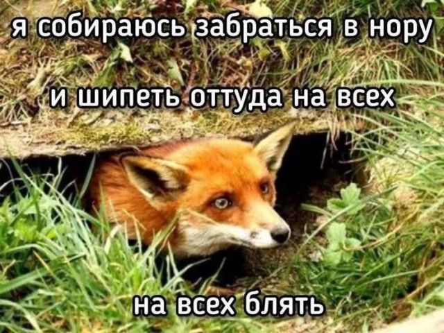 картинка 998aee09c5 21122369