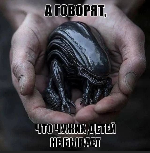 картинка 99ea38b166 sbornik memov porcija pozitiva chtoby raskrasit den 3